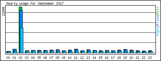 Hourly usage