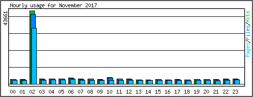 Hourly usage