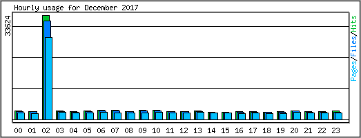 Hourly usage