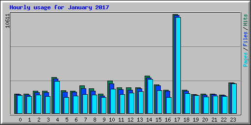 Hourly usage for January 2017
